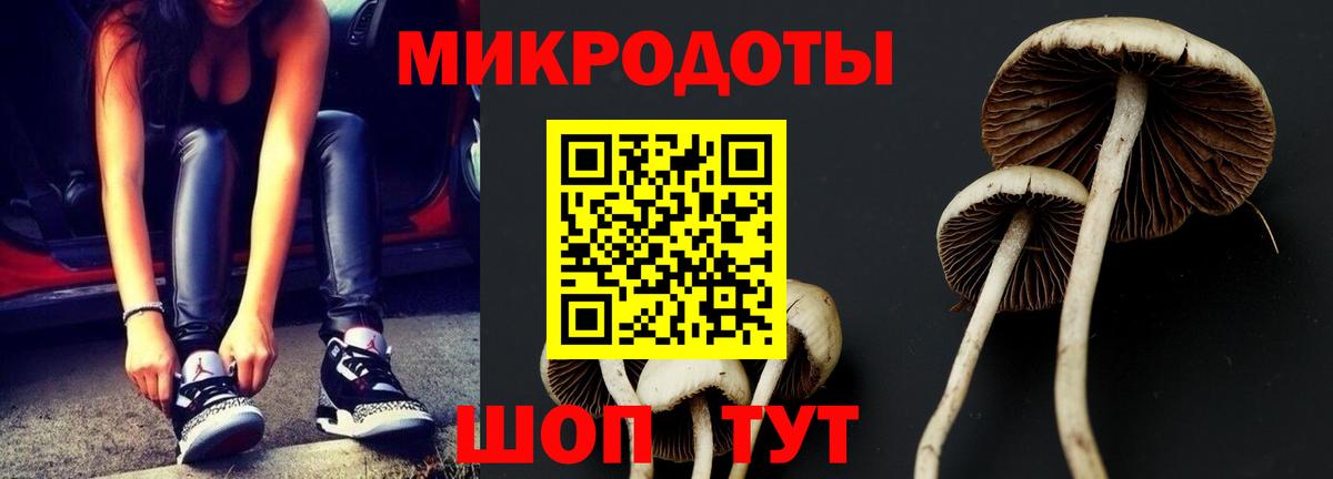 Псилоцибиновые грибы мицелий Кропоткин